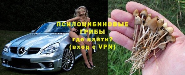 Альфа ПВП Арсеньев