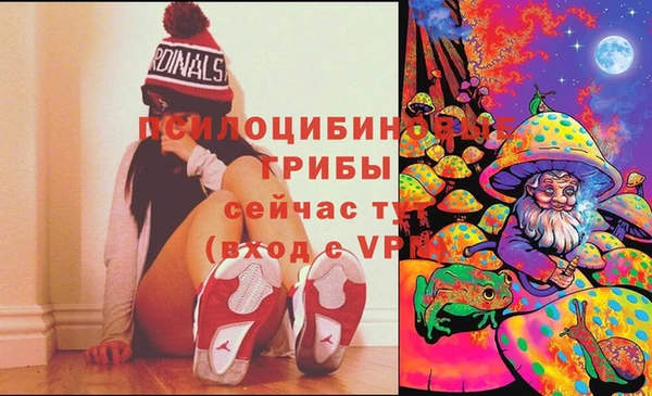 apvp Аркадак