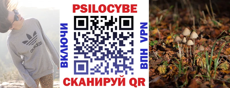 купить  цена  Приморско-Ахтарск  Галлюциногенные грибы мицелий 